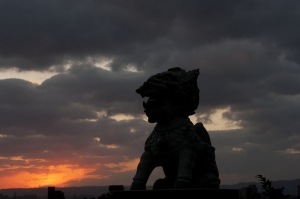 芝山岩的夕陽與金針花