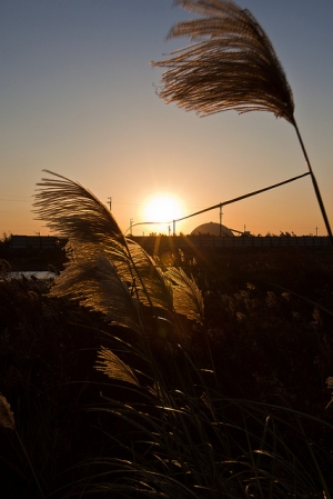 2010年12月31日完美日落(高美)