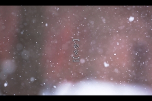 ::: First Snow Storm 2012 紐約初雪 (Part 1) :::
