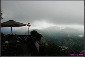 清境青青草原＄桃米村紙教堂兩日遊