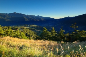 純風景