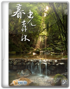 [龍泉]暮光森林