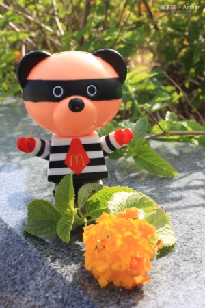 採花神偷 ?