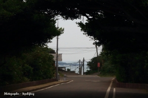 富貴角隨拍~搧海風觀浪