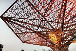 遲來的台灣燈會隨意拍...