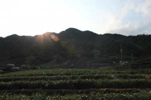 可否針對這些照片給些指導，感恩!