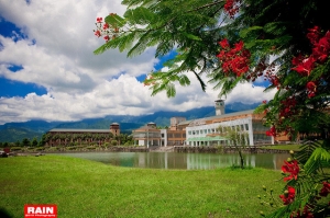 花東六十石山- 金針花之旅