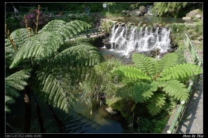 跟著KAWASAKI Z1000 旅行陽明山(by LX3)