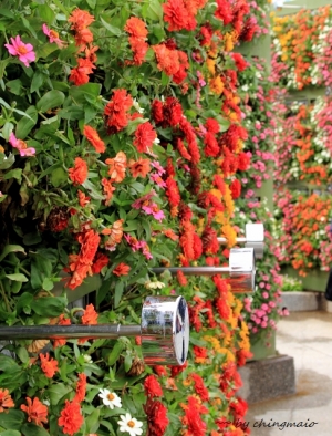 2010 台北國際花博-圓山公園區