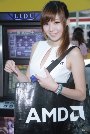 2013 台北國際電腦展(SG)