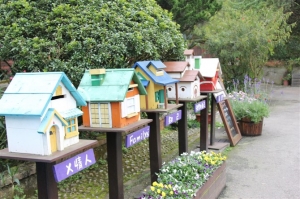 台中薰衣草森林花園
