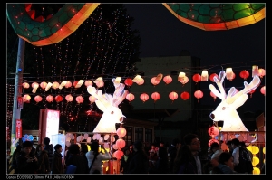 鹿港花燈-南燈區 ( 1 )