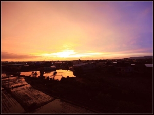 雨後的竹北(也有燒雲)