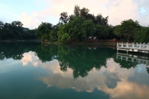高雄天氣晴之 澄清湖等日出囉!