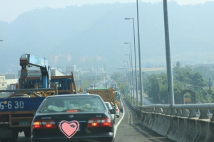 台中一日遊之~花海花毯節篇