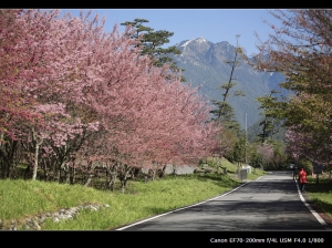 遲來的武陵(圖小多)