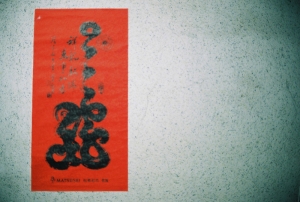 五 年 返 鄉 感   羊丹的內心