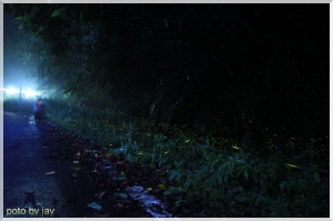 獻給淫蟲的第一次..