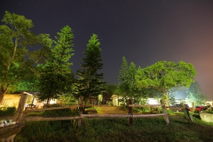 夜拍--顏氏牧場
