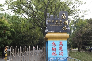 2012台灣國際蘭展旁的蝴蝶蘭