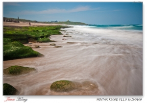 風光明媚。20110329石門老梅和大屯山夕陽