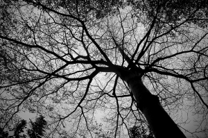 [40D] this City, Ver.02