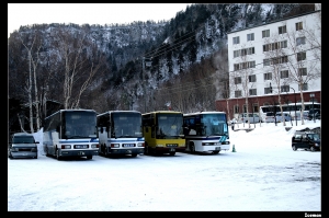 去年冬天的北海道