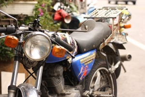 野狼的日常 一張