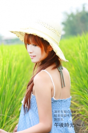 午後田野---毛毛