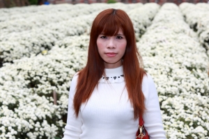 祥菊如芋--十一月雪