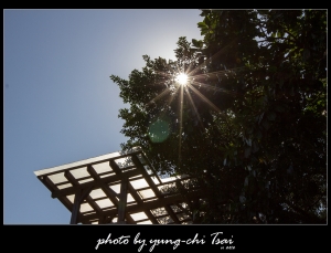 ::: 寶藏巖 & 台大隨拍 :::