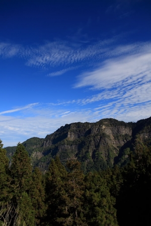 阿里山一日遊~~櫻花祭番外篇