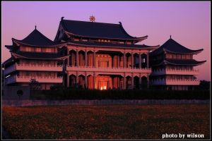 也算是花海