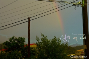 一張流 L’Arc en ciel