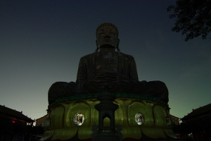 學習單眼的這一年（14P）