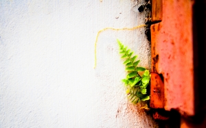 快樂是人生的目的(一張流)