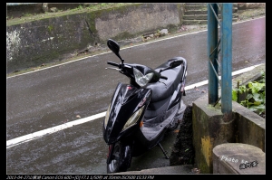 古坑山豬湖之流螢飛梭