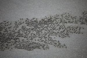 *****彈丸之地*****