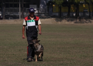 兇猛之警犬(首po)