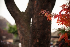 韓國旅遊 - 風景篇