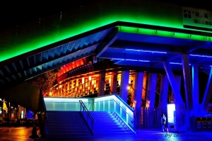 台北花博夜隨拍(圖略多....)