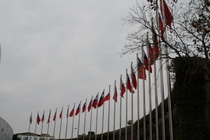 彩攝糖花博揪團照_景物篇