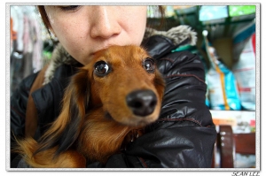 0301我家LULU的生產紀錄