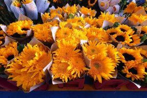 手機拍花市 Ⅰ — — 繁花