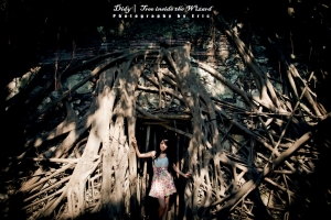 Didy | Tree inside the Wizard