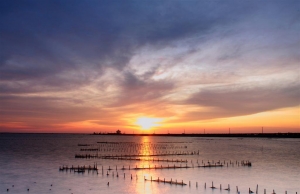 2011-07-08-臺南七股夕照 (黃金海+火燒雲)