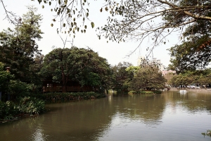 濃濃日式風&nbsp;&nbsp; 空軍十一村