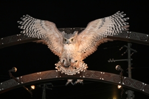 北海道的愛奴村