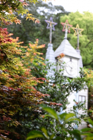 台北奧萬大-春之楓