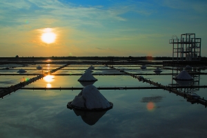 井仔腳 鹽田初體驗